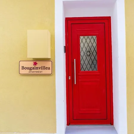 Bougainvillea *
